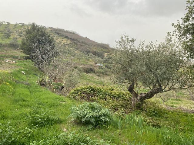 Image No.22-Maison de campagne de 1 chambre à vendre à Alessandria della Rocca