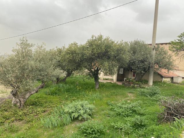 Image No.23-Maison de campagne de 1 chambre à vendre à Alessandria della Rocca