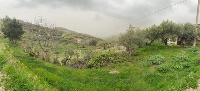 Image No.24-Maison de campagne de 1 chambre à vendre à Alessandria della Rocca