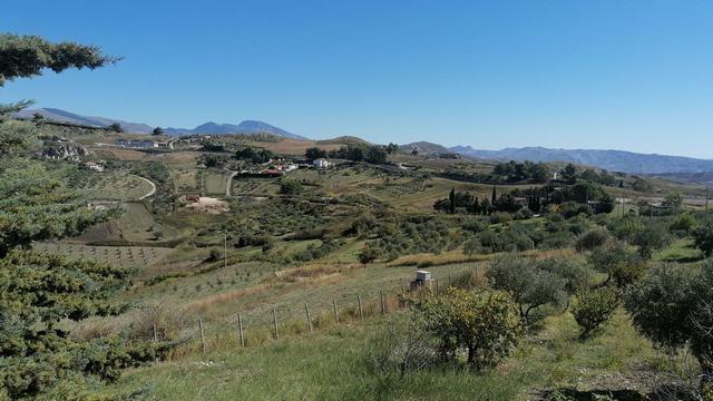 Image No.3-1 Bed Villa for sale