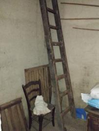 WhatsApp-Image-2025-03-22-at-14-29-07--2-