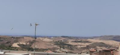 IMG_20250721_122556_resized_20250721_020937847