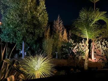 31a32873-1db0-4789-a401-93df4eff1e01