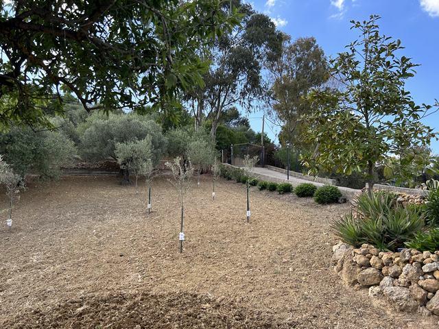 Image No.10-2 Bed House/Villa for sale