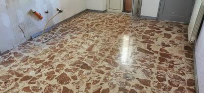 IMG_20241007_114226_resized_20241008_093759860