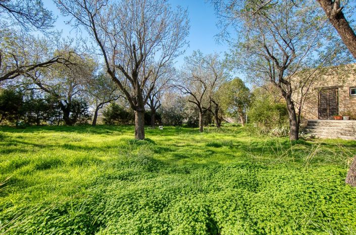 Image No.7-Bungalow de 4 chambres à vendre à Mesogi