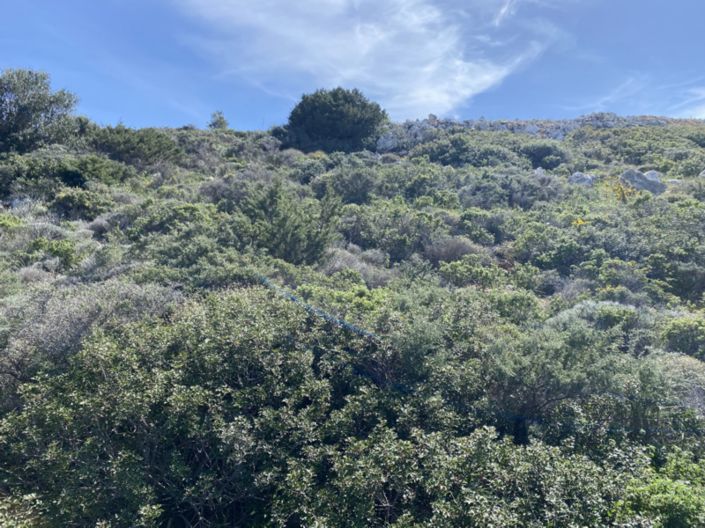 Image No.18-Terre à vendre à Kalo Chorio