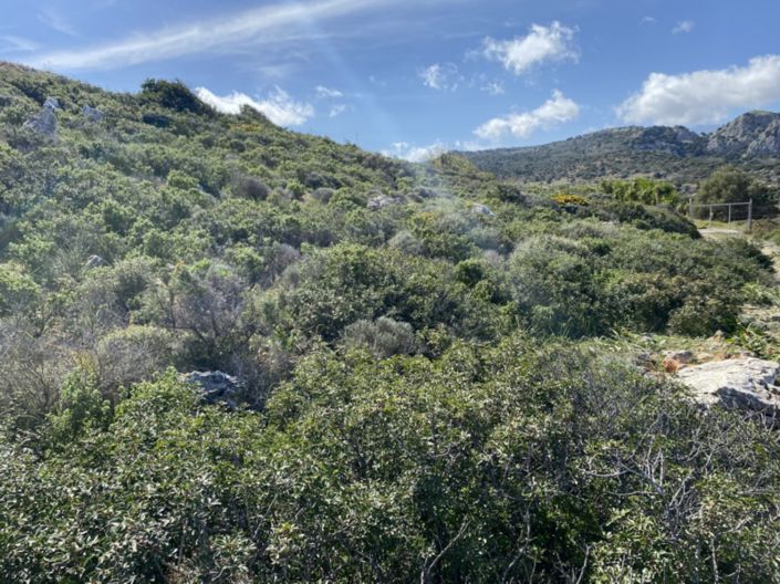 Image No.20-Terre à vendre à Kalo Chorio