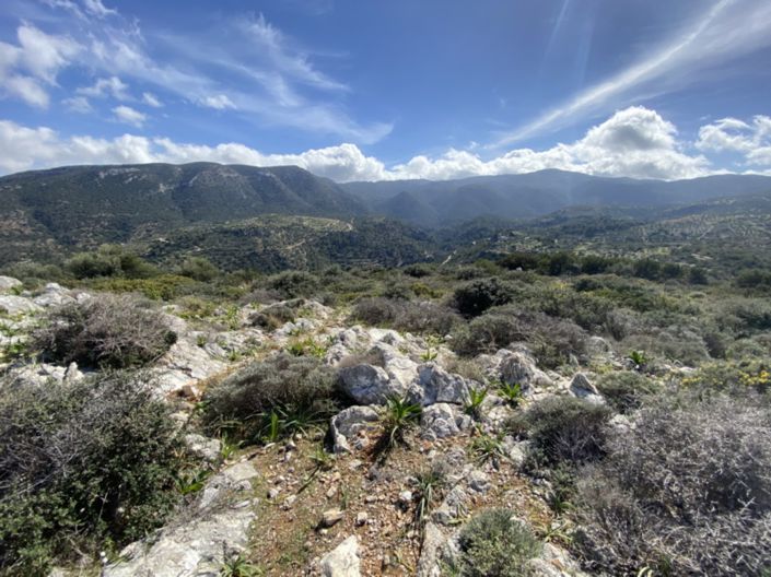 Image No.25-Terre à vendre à Kalo Chorio