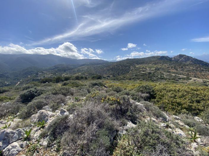 Image No.26-Terre à vendre à Kalo Chorio