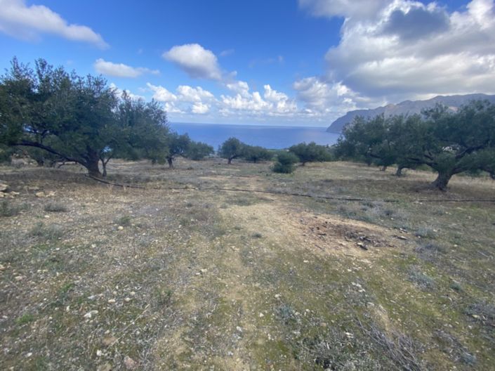 Image No.2-Terre à vendre à Tourloti