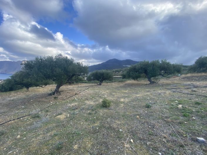 Image No.10-Terre à vendre à Tourloti