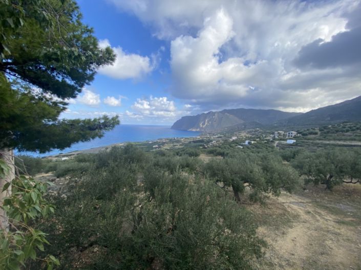 Image No.5-Terre à vendre à Tourloti