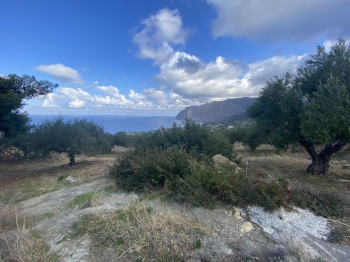 Image No.7-Terre à vendre à Tourloti