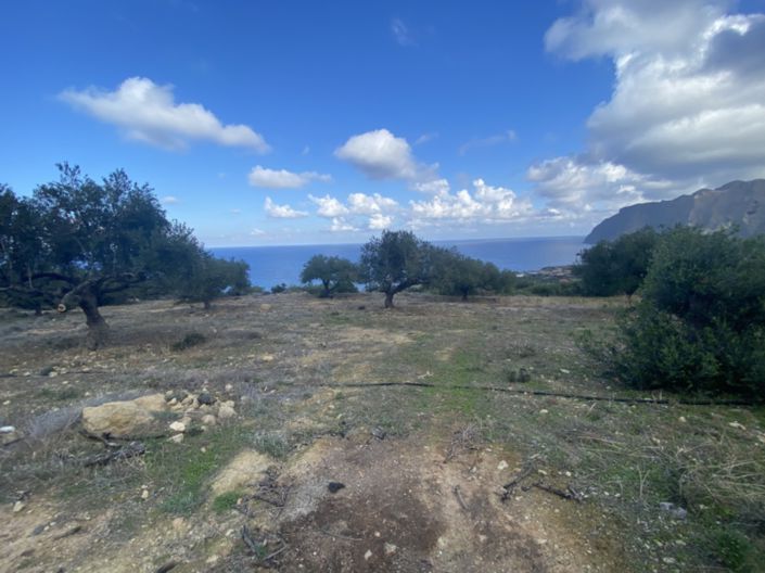 Image No.8-Terre à vendre à Tourloti