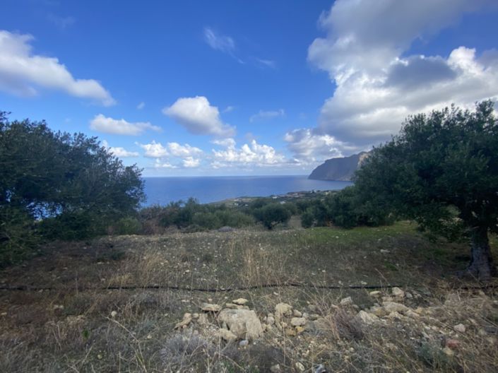 Image No.9-Terre à vendre à Tourloti