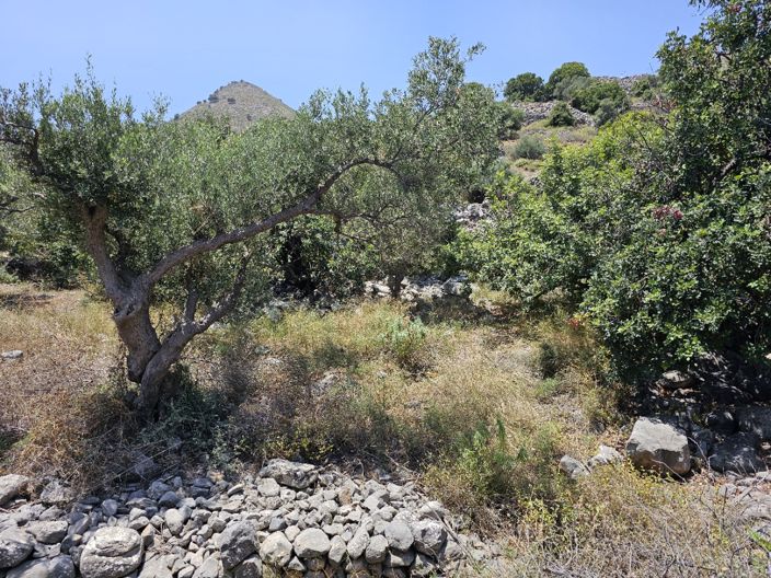 Image No.11-Terre à vendre à Pano Elounda
