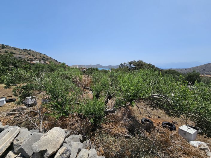 Image No.2-Terre à vendre à Pano Elounda