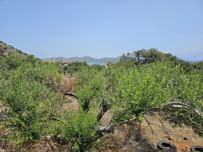 Image No.3-Terre à vendre à Pano Elounda