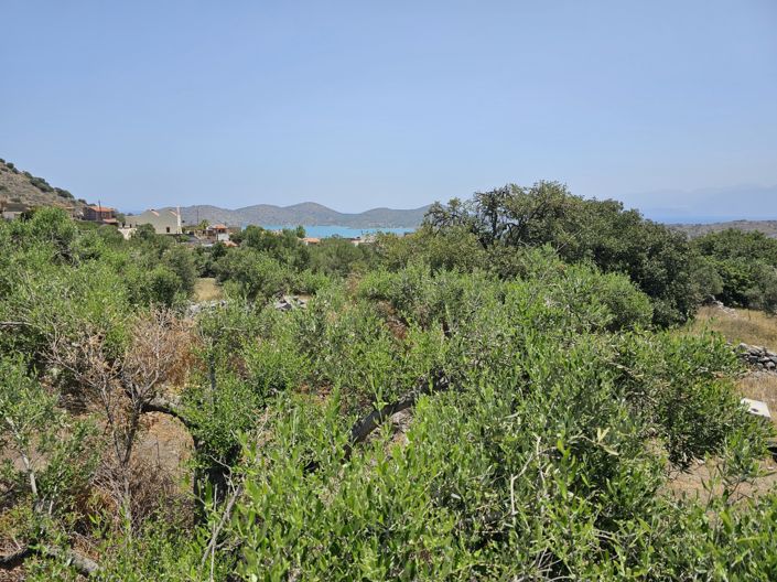 Image No.4-Terre à vendre à Pano Elounda