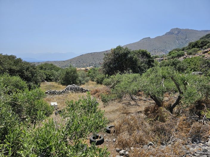 Image No.5-Terre à vendre à Pano Elounda