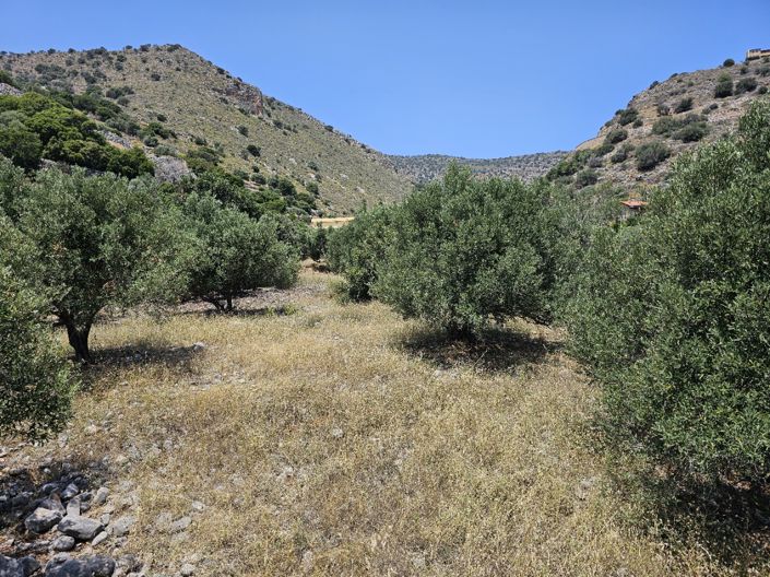 Image No.7-Terre à vendre à Pano Elounda
