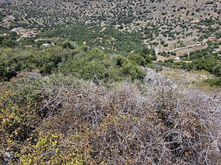 Image No.5-Terre à vendre à Epano Pines