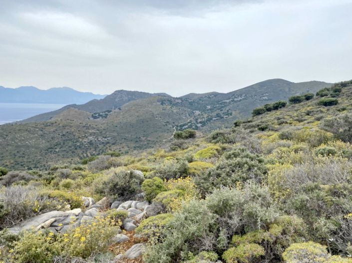 Image No.10-Land for sale