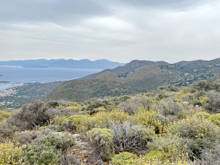 Image No.3-Land for sale