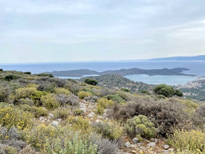 Image No.4-Land for sale