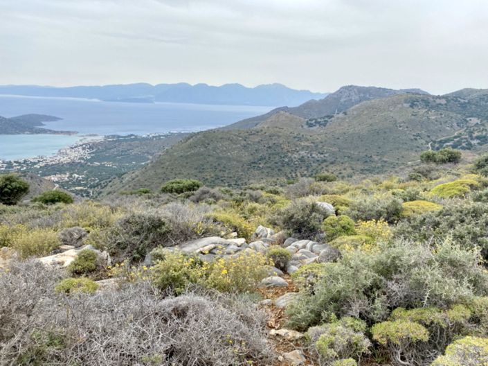 Image No.6-Land for sale