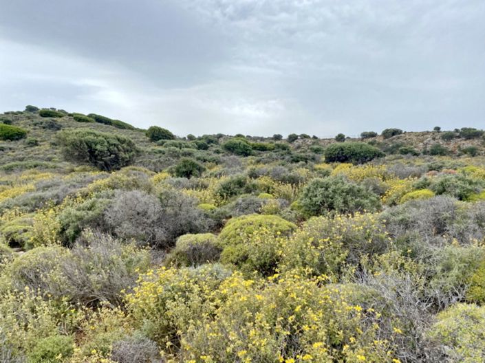 Image No.8-Land for sale