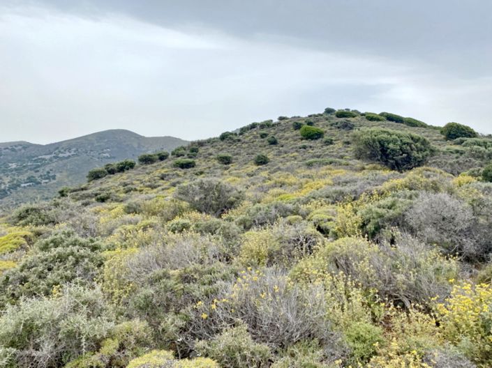 Image No.9-Land for sale