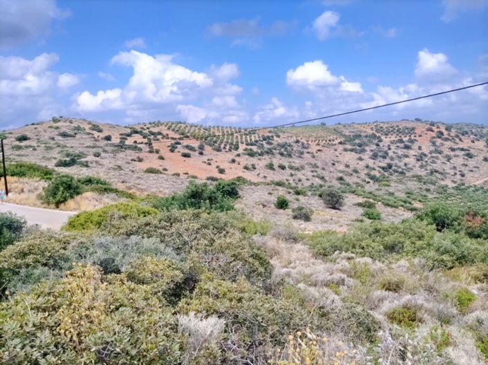 Image No.10-Terre à vendre à Milatos