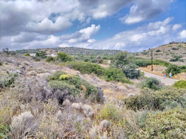 Image No.12-Terre à vendre à Milatos