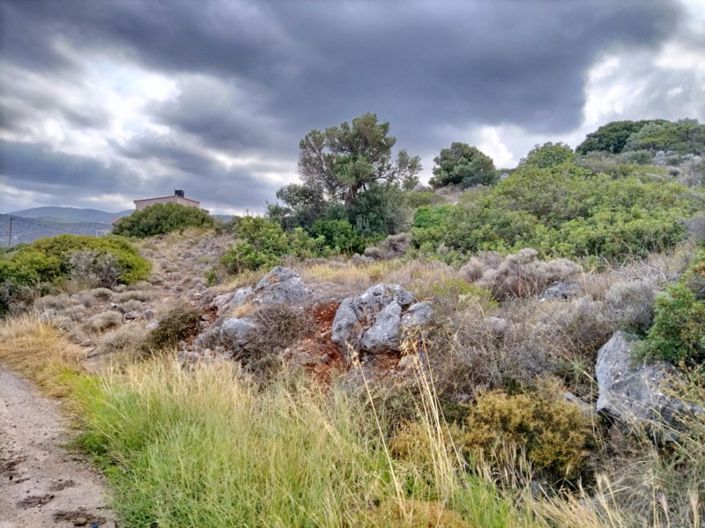 Image No.2-Terre à vendre à Milatos