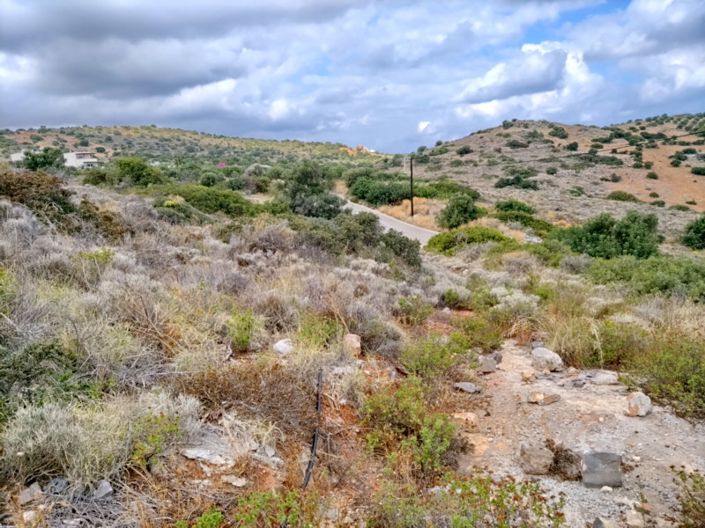 Image No.5-Terre à vendre à Milatos