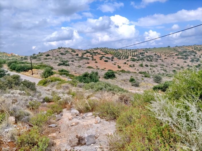 Image No.6-Terre à vendre à Milatos