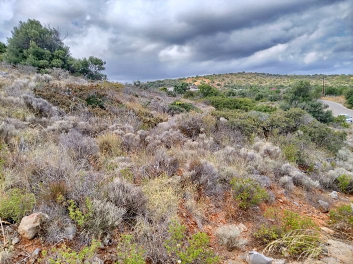 Image No.7-Terre à vendre à Milatos