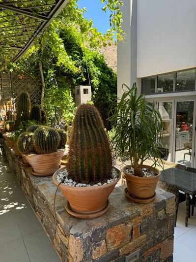 Image No.13-Villa de 6 chambres à vendre à Chavgas 