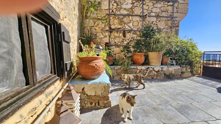 Image No.22-Maison de 2 chambres à vendre à Koutsounari