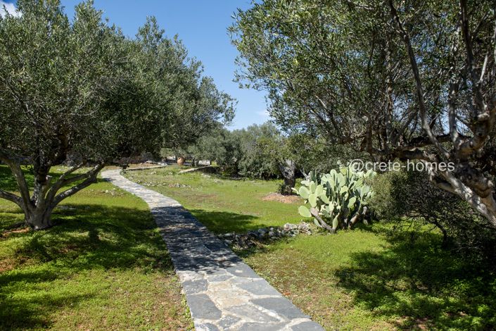 Image No.32-Villa de 10 chambres à vendre à Elounda