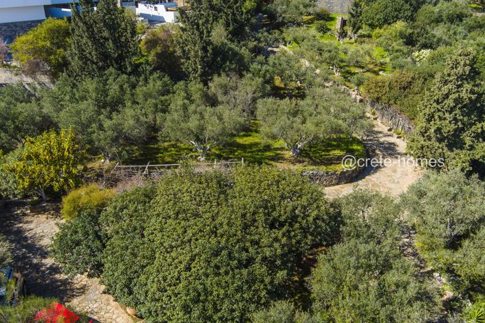 Image No.54-Villa de 10 chambres à vendre à Elounda