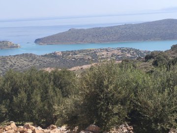 img20250314112633-copy