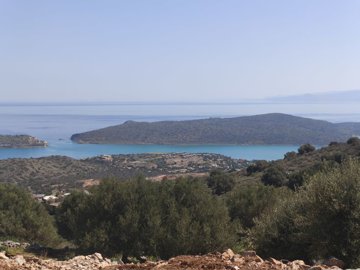 img20250314112545-copy