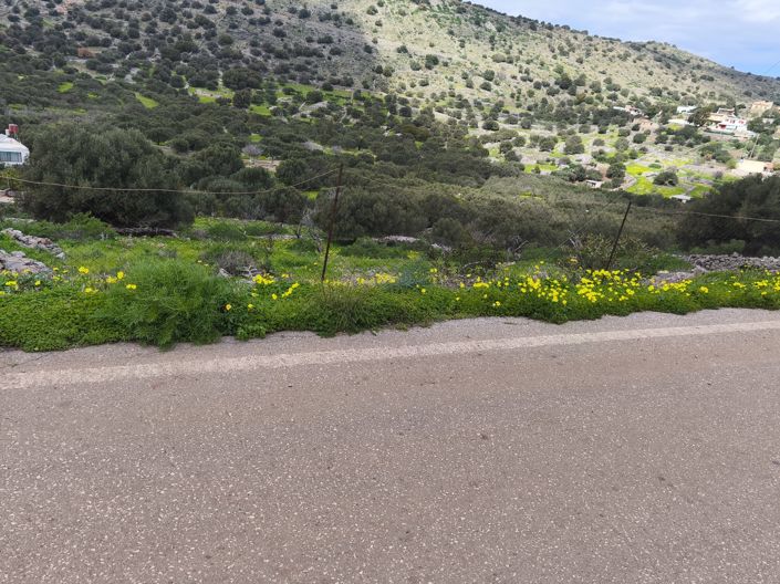 Image No.3-Terre à vendre à Kato Pine