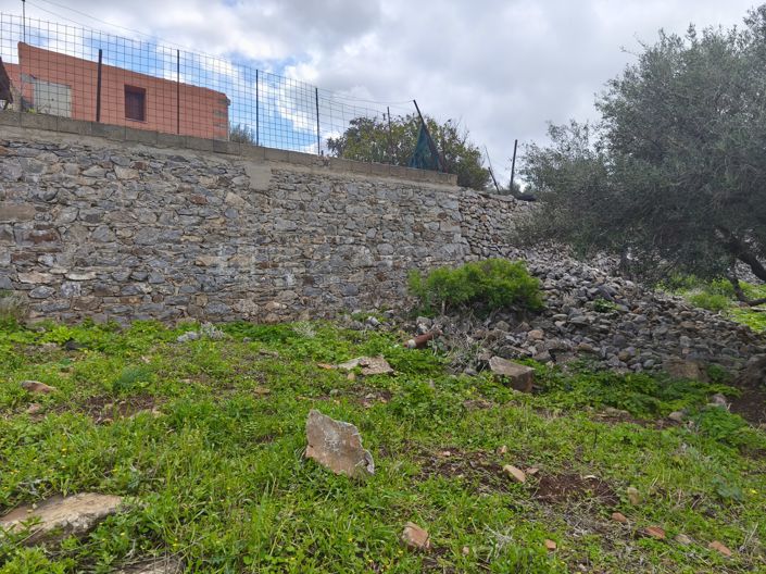 Image No.5-Terre à vendre à Kato Pine