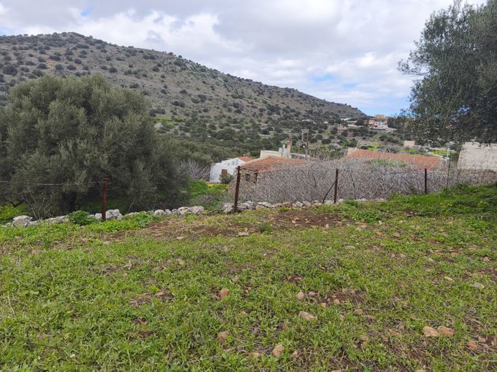 Image No.6-Terre à vendre à Kato Pine