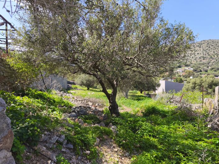 Image No.8-Terre à vendre à Kato Pine