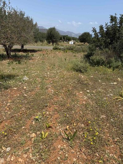 Image No.2-Terre à vendre à Agios Nikolaos